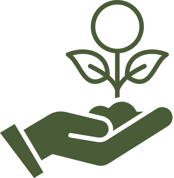 Icoon: hand met plant — investeren in groei